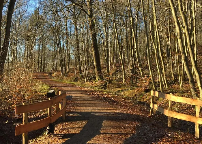 Waldmuehle