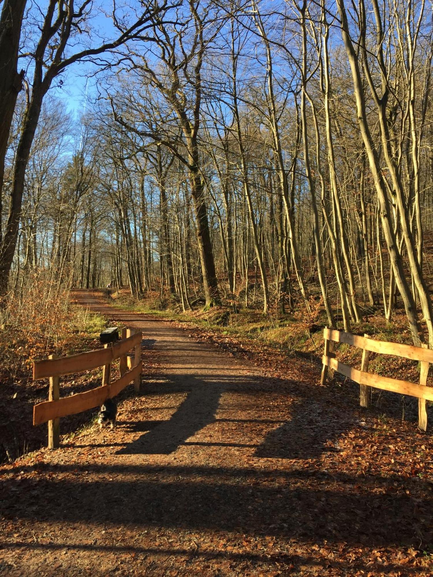 Waldmühle *